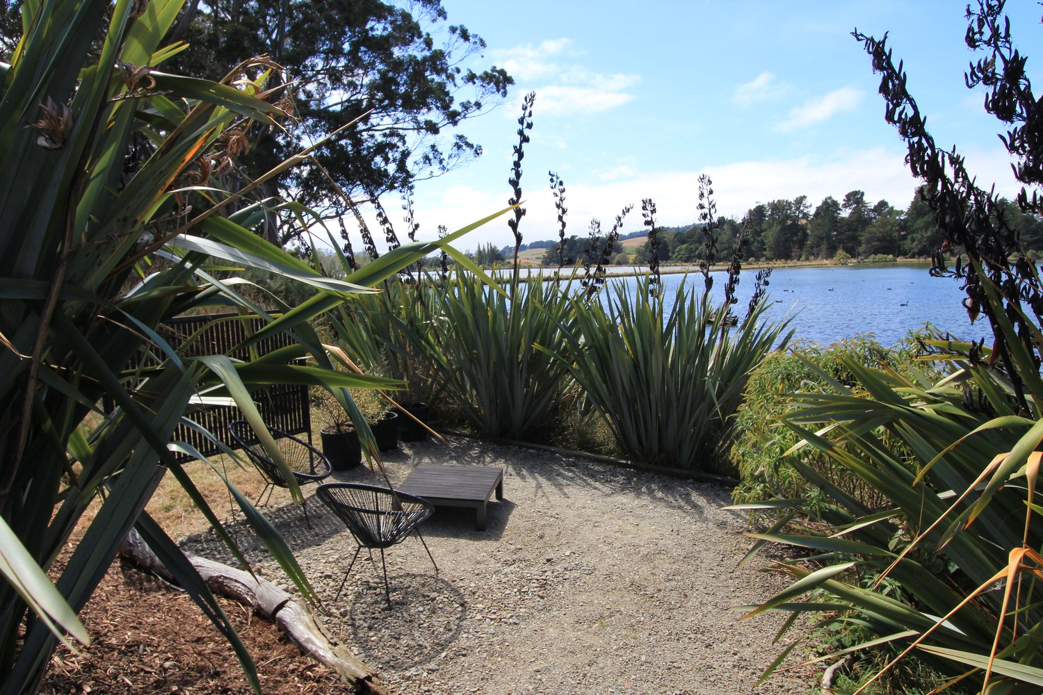 Bathroom facilities at The Bird Hide BnB Waikouaiti Dunedin - modern amenities with elegant design
