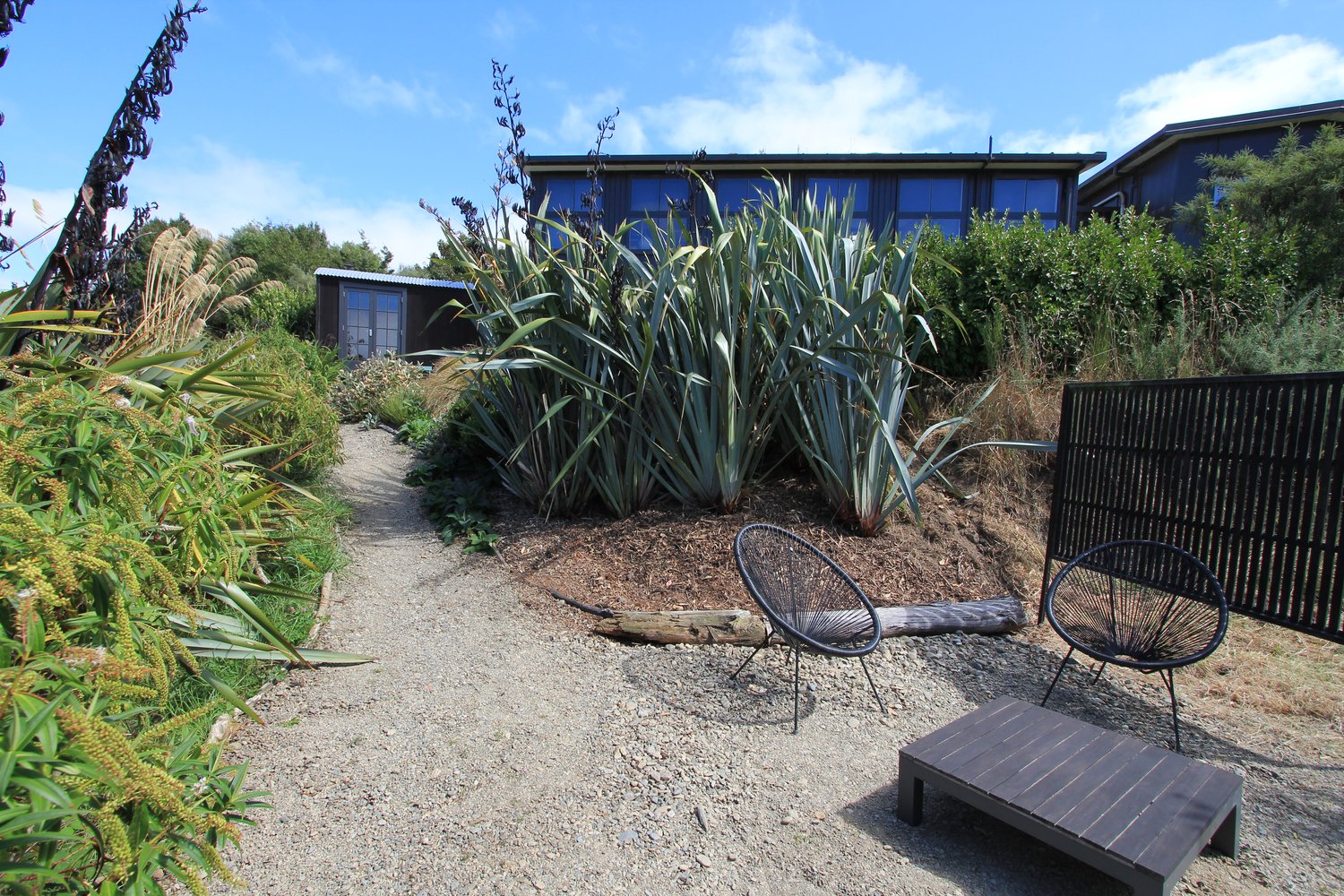 Kitchen area at The Bird Hide BnB Waikouaiti Dunedin - fully equipped with modern appliances