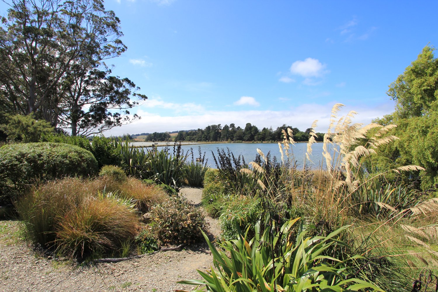 Sunset view from The Bird Hide BnB Waikouaiti Dunedin - breathtaking coastal scenery