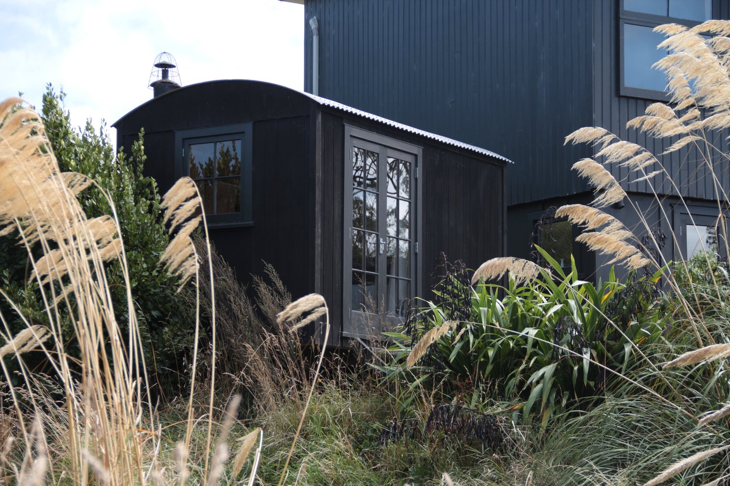 Morning light at The Bird Hide BnB Waikouaiti Dunedin - peaceful atmosphere with natural surroundings
