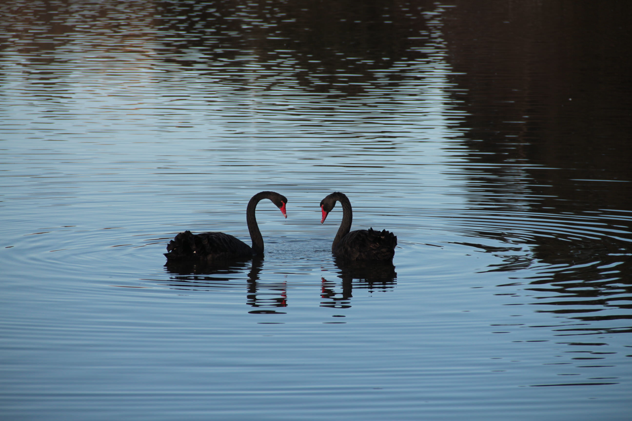 Interior living space at The Bird Hide BnB Waikouaiti Dunedin - comfortable modern design with natural light